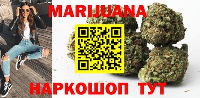 Альфа ПВП Дубна