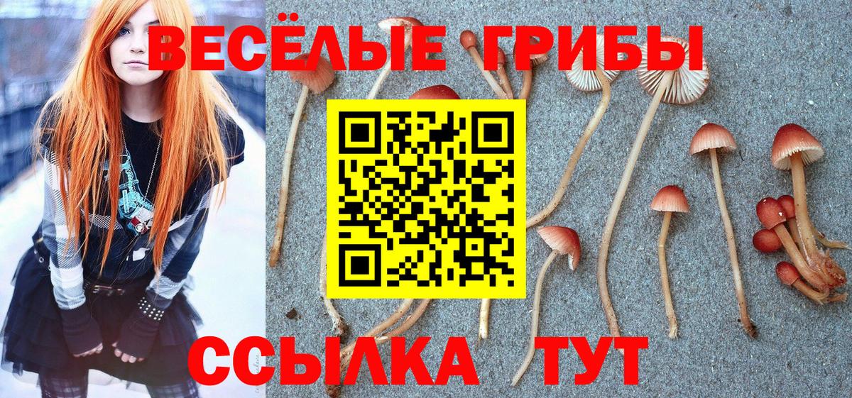 Псилоцибиновые грибы мухоморы  Вход с VPN  Галлюциногенные грибы Psilocybine cubensis  Калининград 