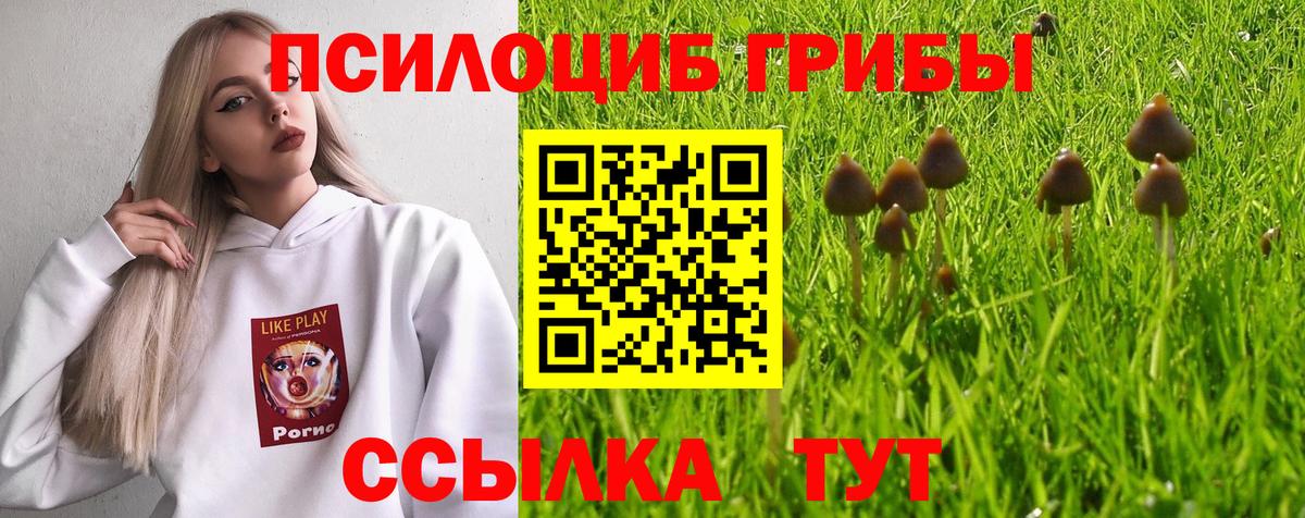 Псилоцибиновые грибы прущие грибы Калининград